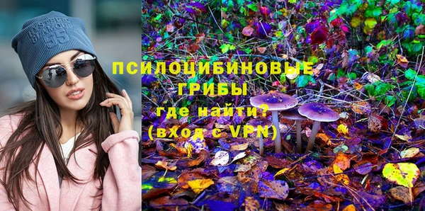 гидра Алзамай