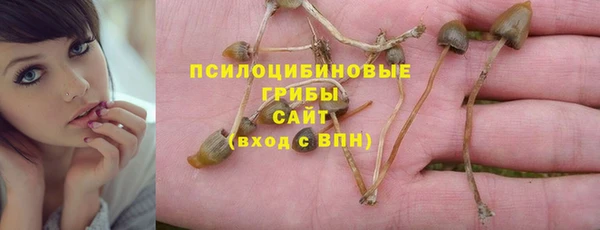 MDMA Premium VHQ Козельск
