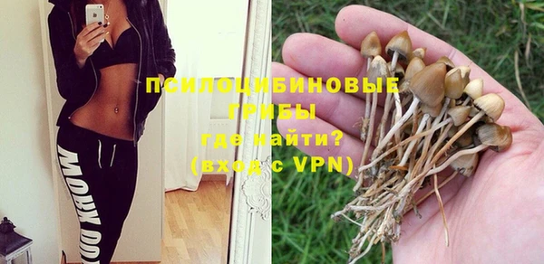 твердый Алексеевка