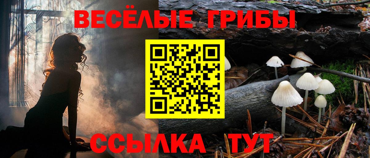 Псилоцибиновые грибы Magic Shrooms Новозыбков