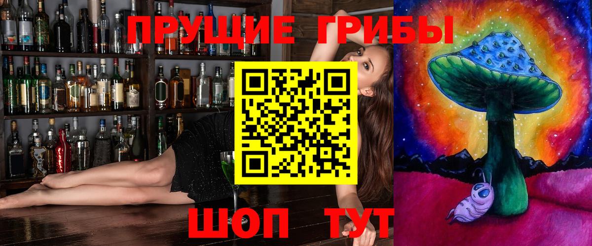 Галлюциногенные грибы Cubensis  Псилоцибиновые грибы ЛСД  как найти наркотики  Вход с VPN  Новозыбков 